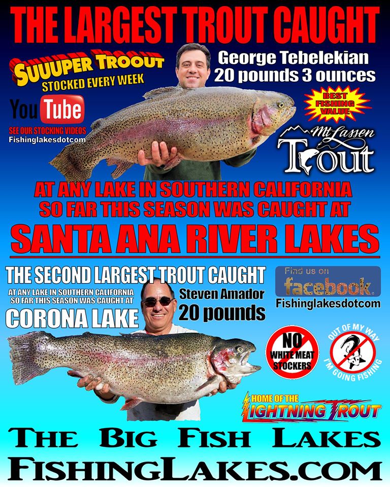 largest-trout-ad.jpg