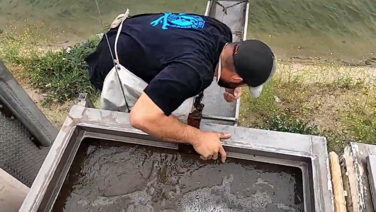 5/19/22 STOCKING IMPERIAL SILVER CHANNEL CATFISH AT SANTA ANA RIVER LAKES